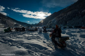 foto-agnello-2015